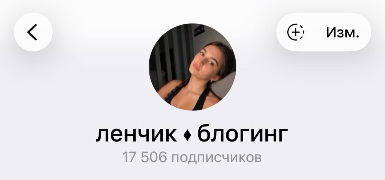 Telegram — 17 506 подписчиков