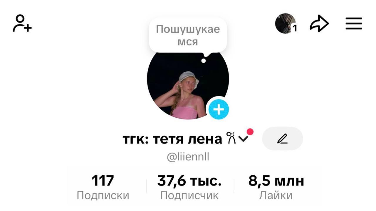 TikTok — 37,6 тысячи подписчиков
